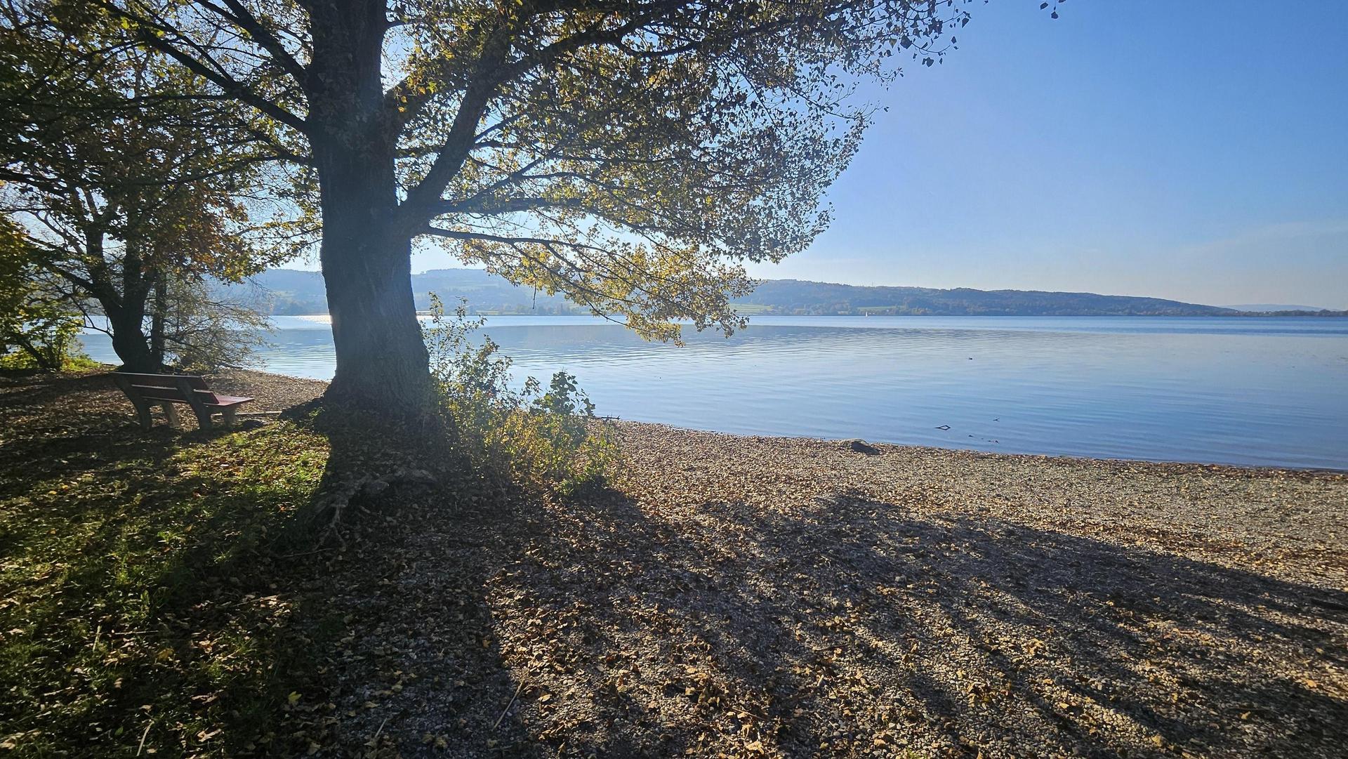 Scaling Architecture